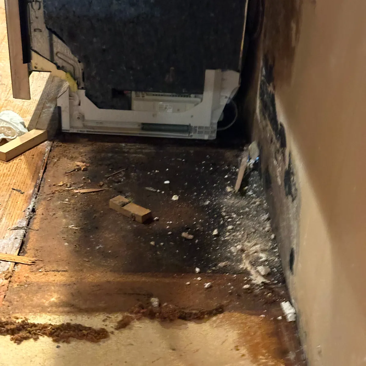 911 Flood Warriors specialist using infrared tools for a moisture inspection, showing practical home services from small businesses in the Momentus Capital small business holiday gift guide.