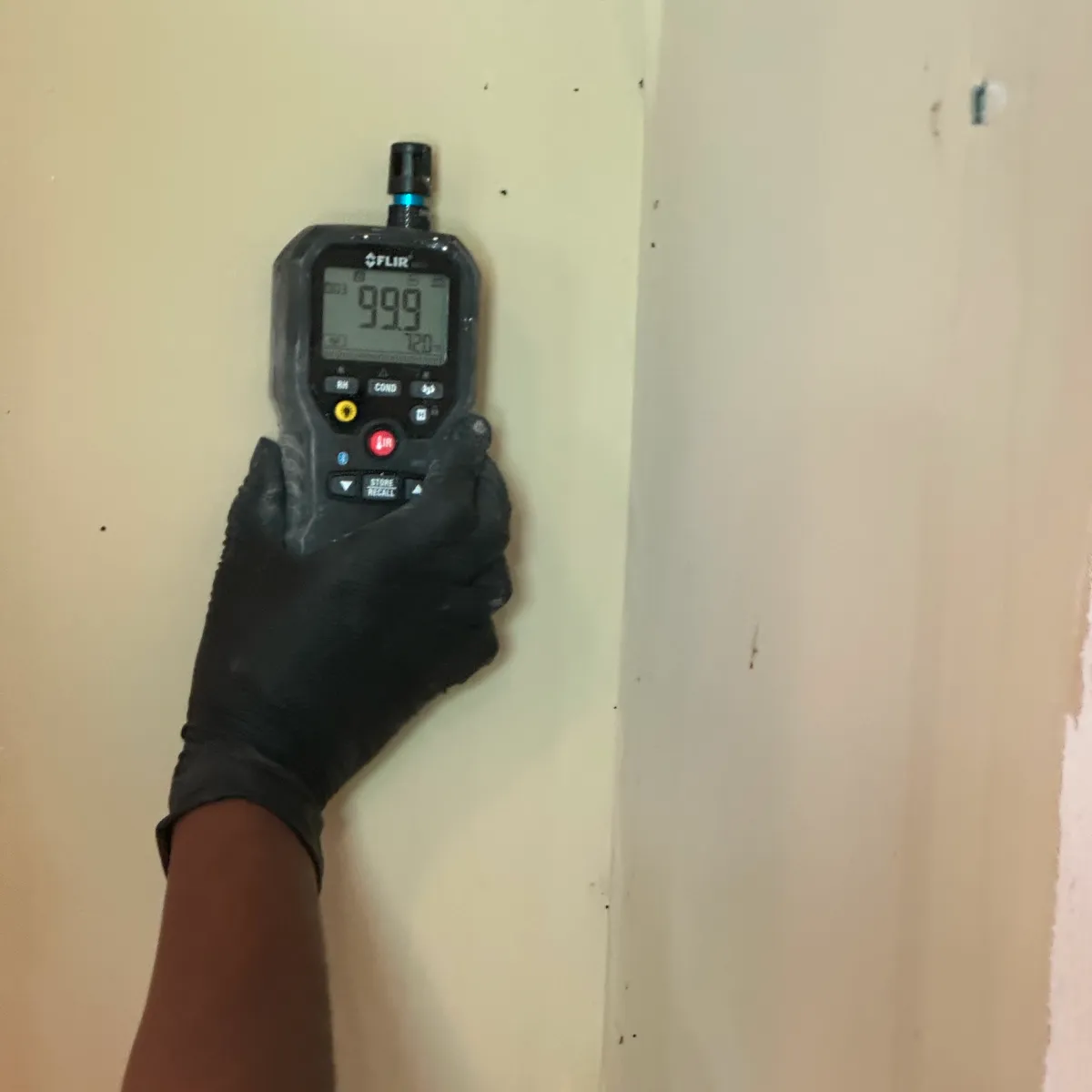 Mold testing technician from 911 Flood Warriors assessing interior walls, featured in the Momentus Capital holiday gift guide for home and small business services.