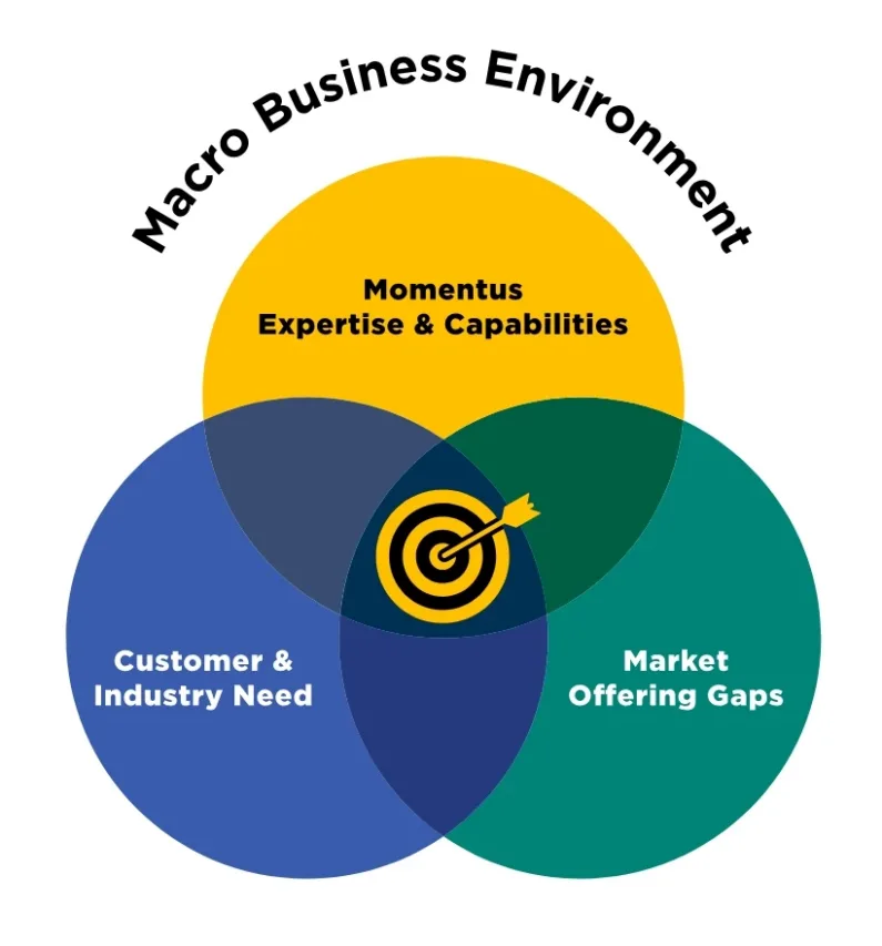 Bullseye strategy framework showing macro business environment around Momentus Capital’s expertise and capabilities, customer and industry need, and competitor weakness.